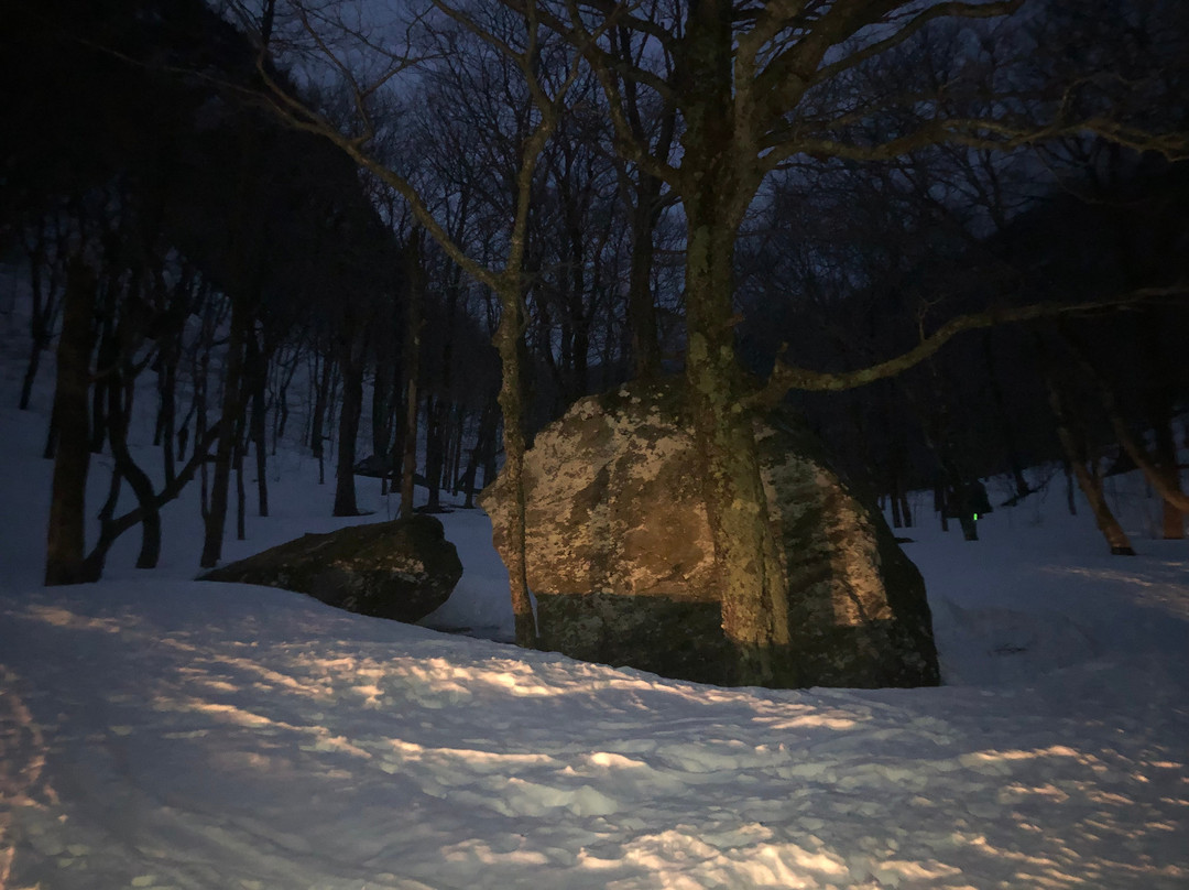 Green Mountain Snowmobile Adventures-Jeffersonville必去景点