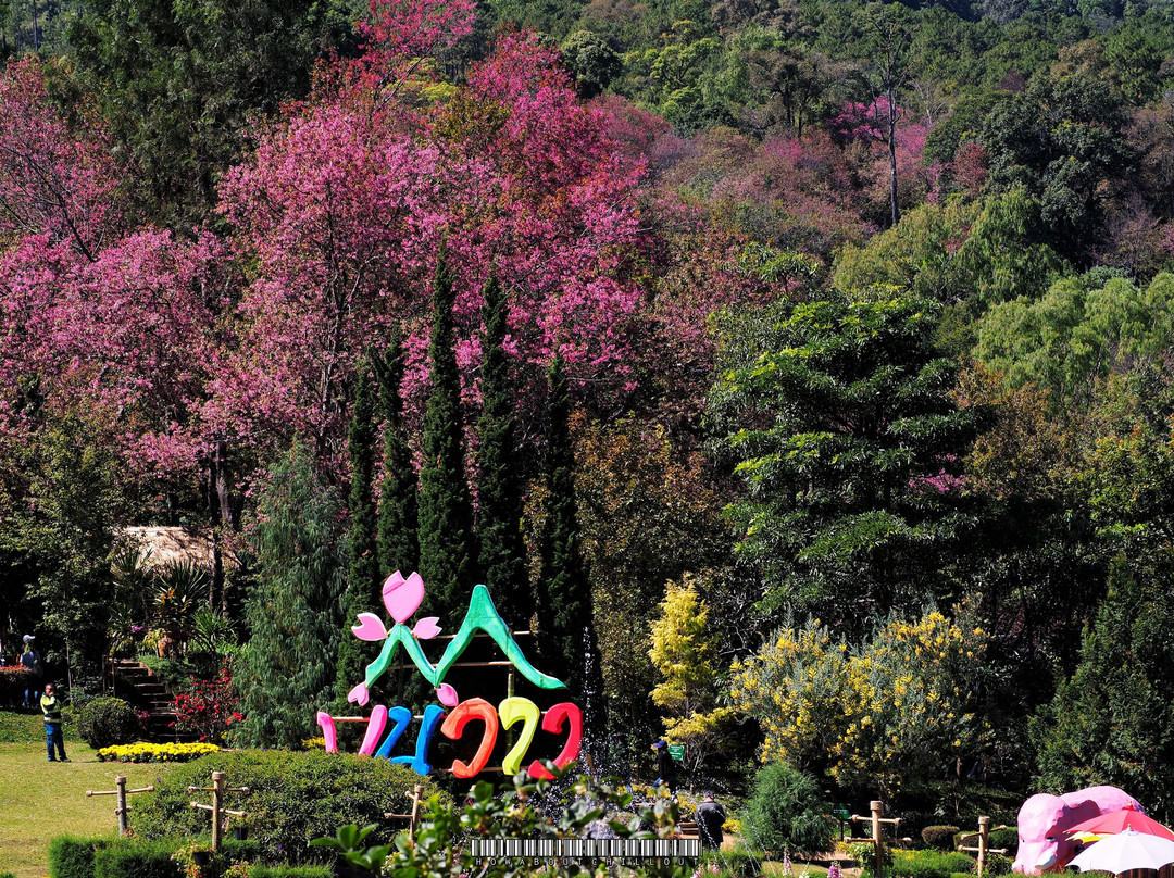 Chiang Mai Royal Agricultural Research Centre (Khun Wang)-夜旺必去景点