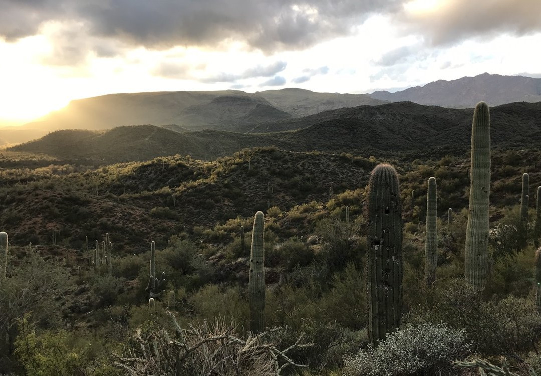 Arizona Outdoor Fun景点图片