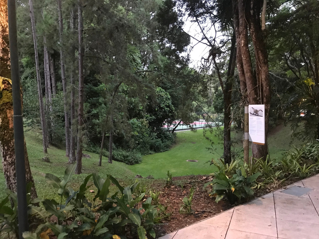 Grande Hotel Sao Pedro主图