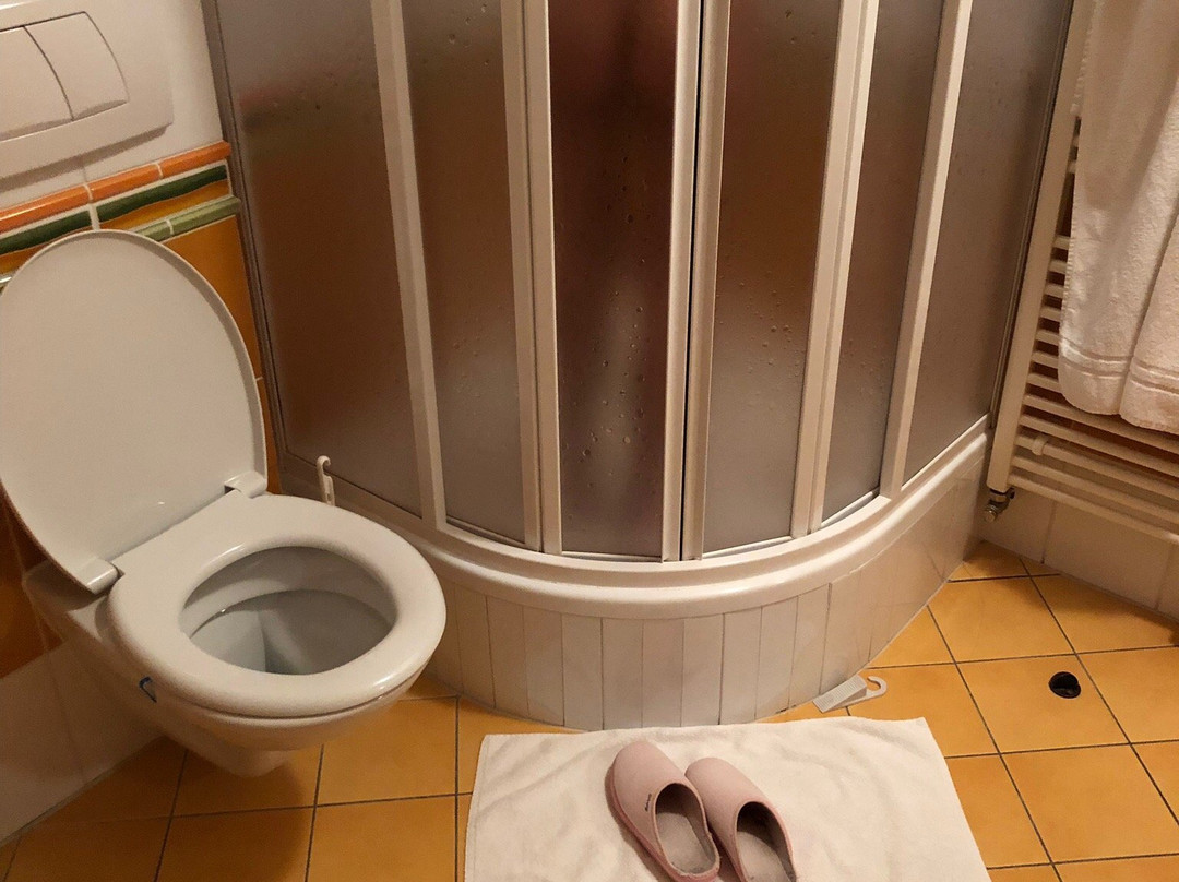 Penzion Snezienka主图