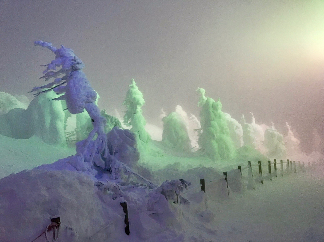 Zao Juhyo Festival-山形市必去景点