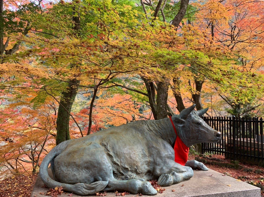 Daiitokuji Temple-岸和田市必去景点