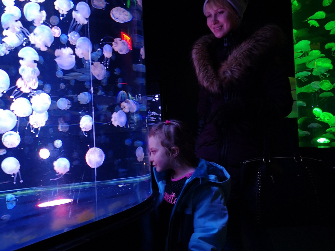 Aquarium du Québec-魁北克市必去景点