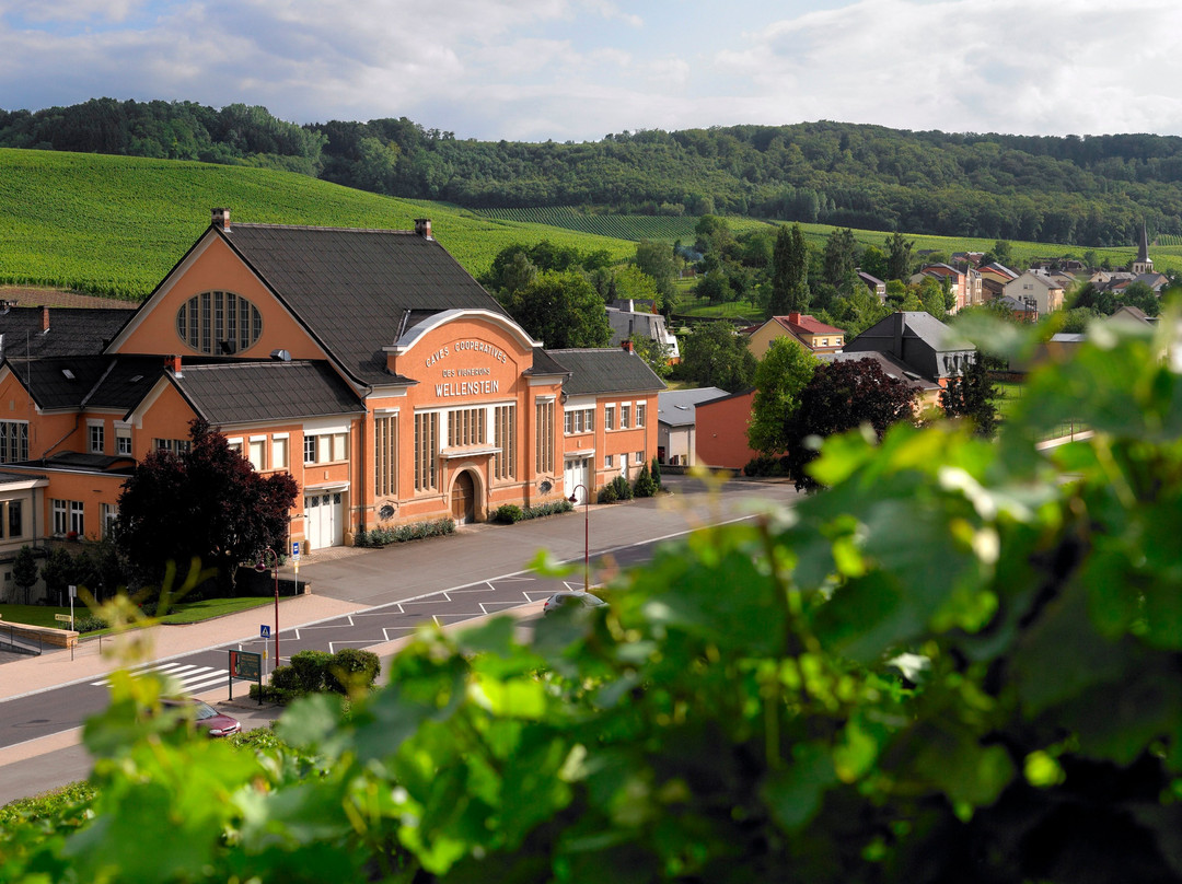 Domaines Vinsmoselle - Caves des Vignerons Wellenstein
