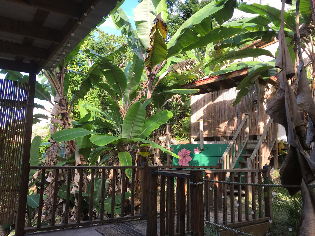 Samatahiti-吕康必去景点