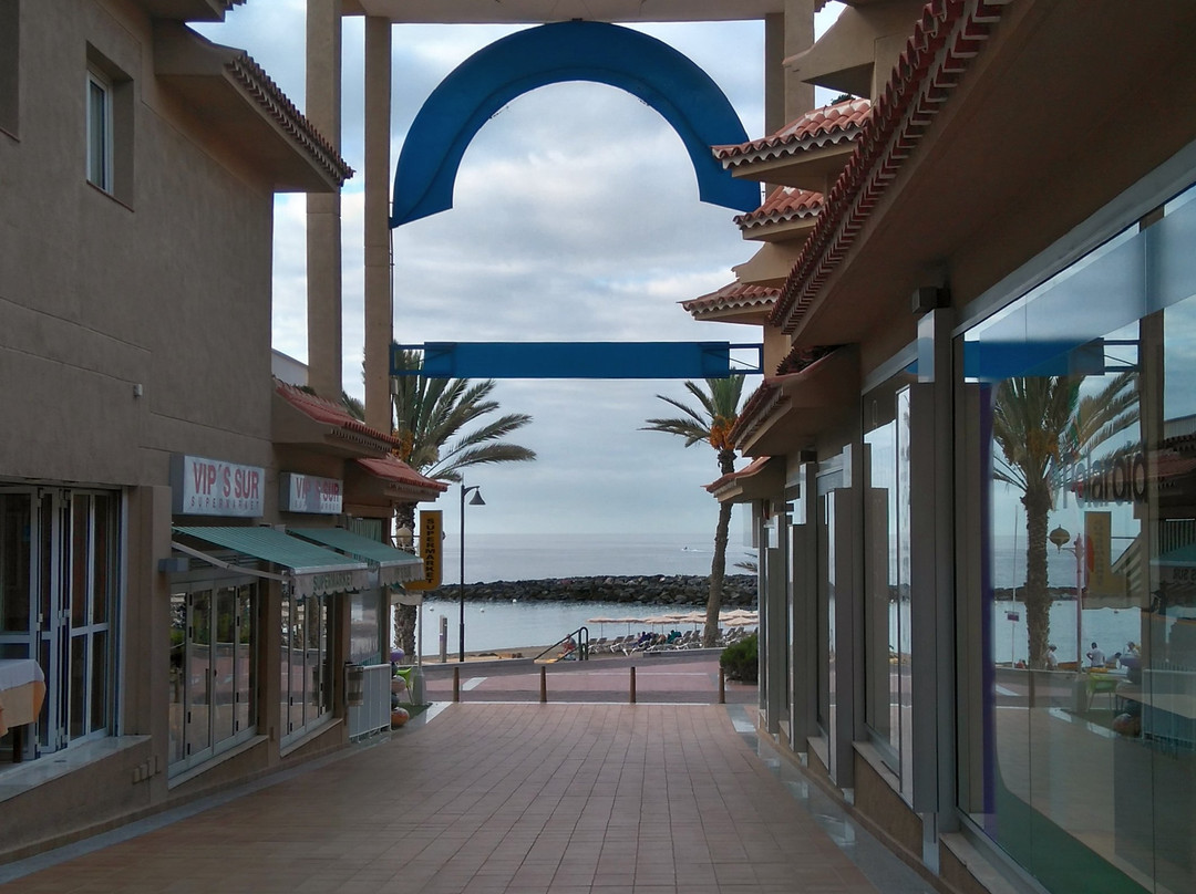 Vista Sur Shoping Center-美洲海滩必去景点