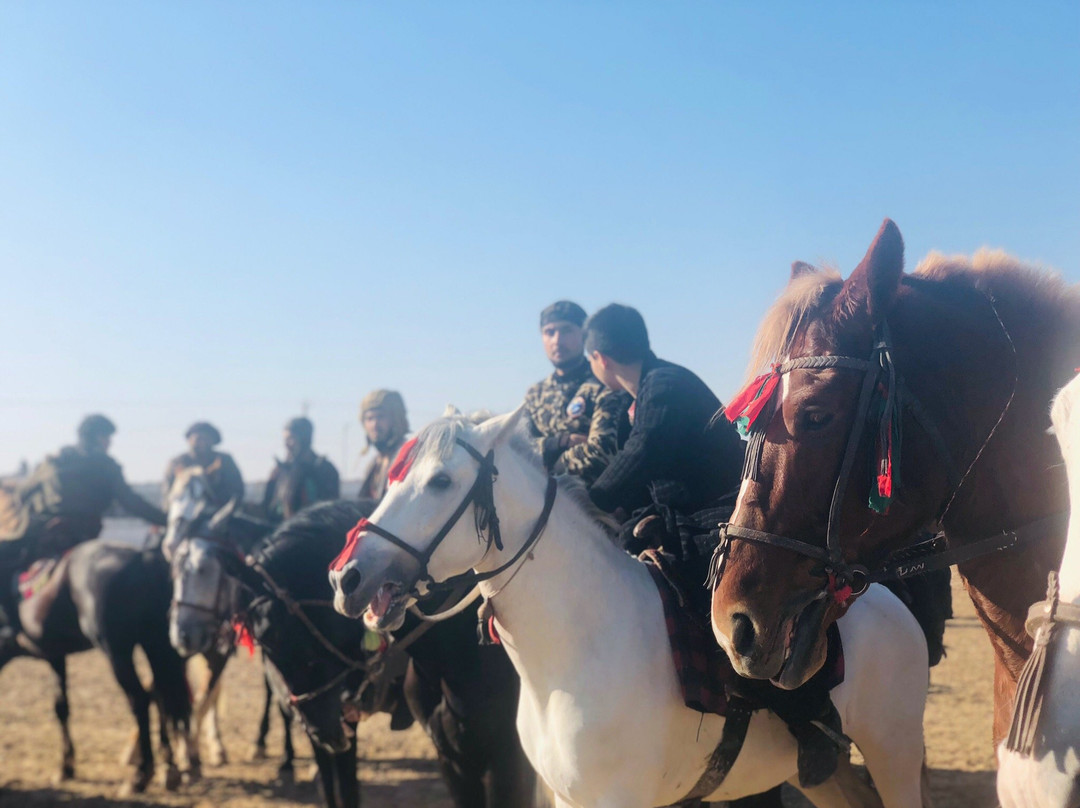 Buzkashi Stadium景点图片