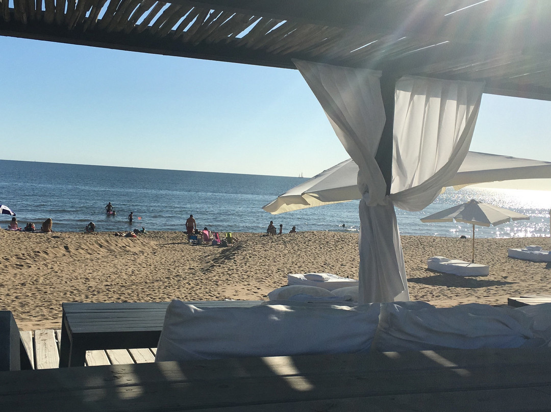 Serena Hotel Punta Del Este主图