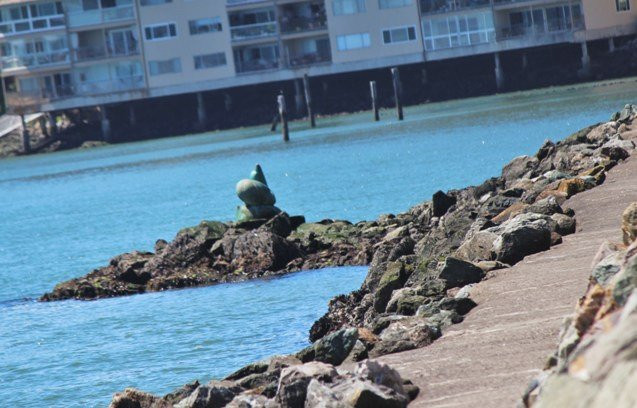 Sea lion sculpture景点图片