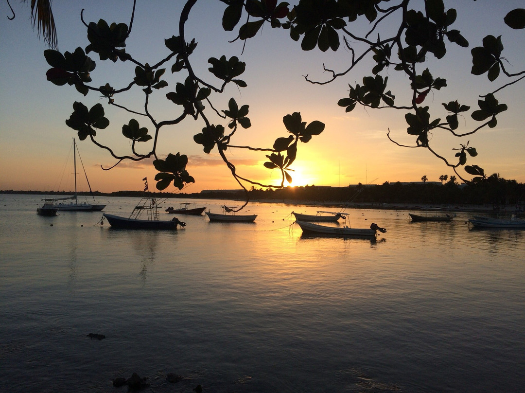 Akumal Beach-艾库玛尔必去景点