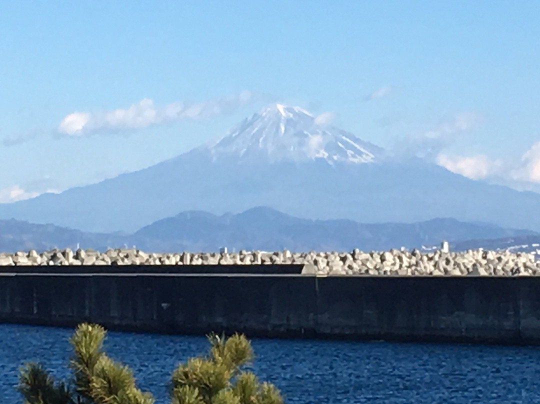 Yaizu Gyoko景点图片