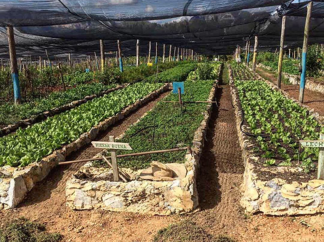 Step In The Valley-维纳勒斯必去景点