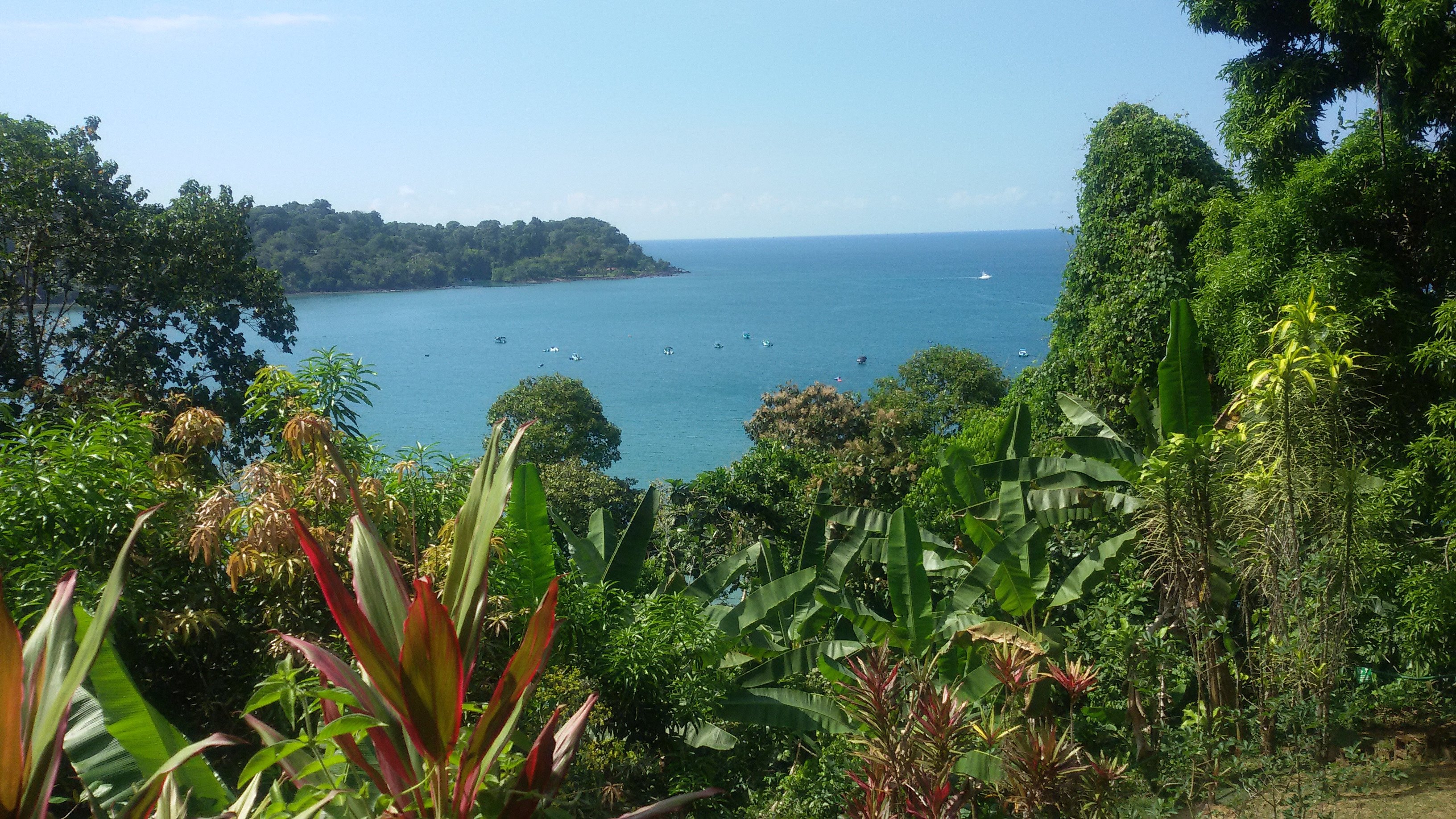 El Mirador Lodge-酒店景观