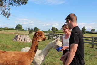 艺术屋家庭旅馆主图