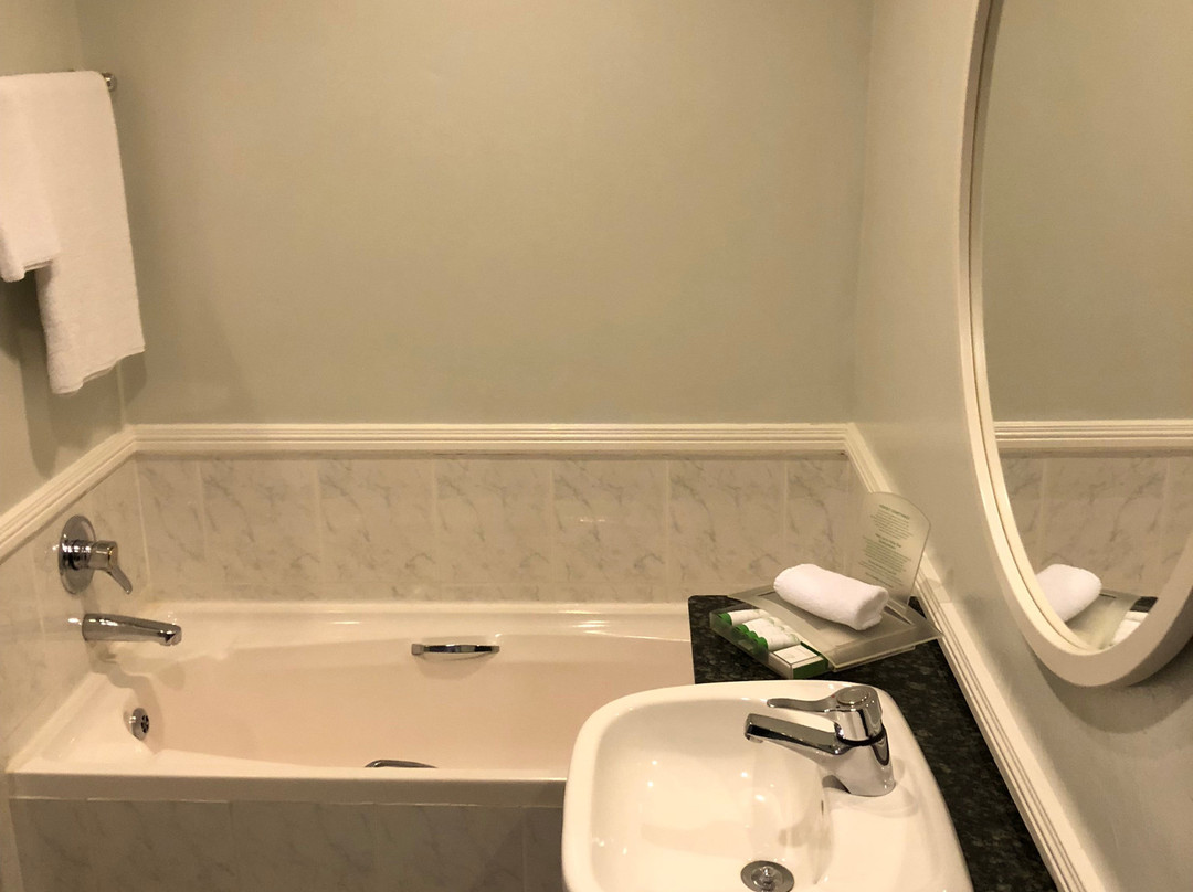 Holiday Inn Johannesburg Airport by IHG主图