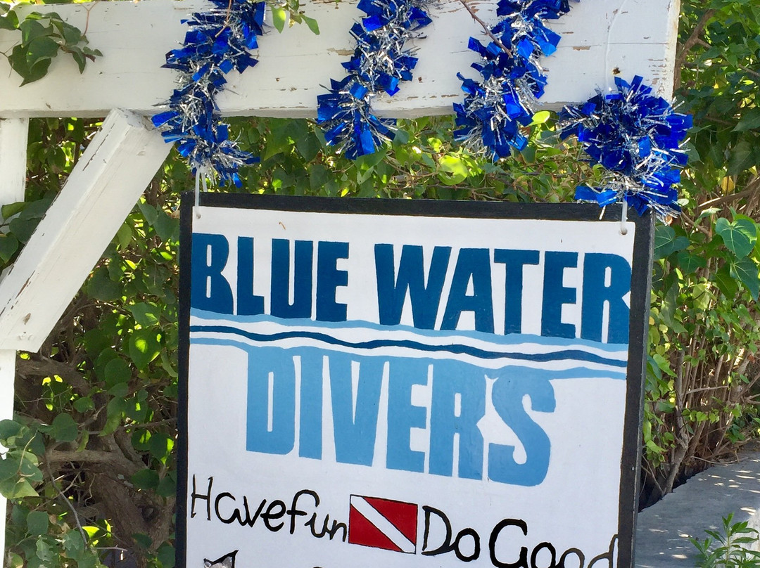 Blue Water Divers-Cockburn Town必去景点