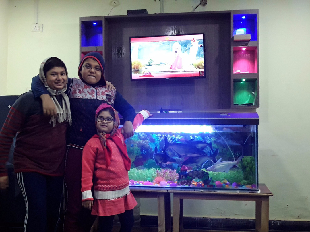 Paradise Inn Guest House主图