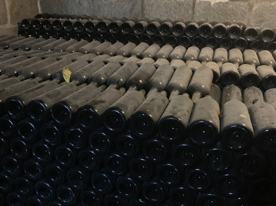 Villa Prando Vinicola-Itajai必去景点