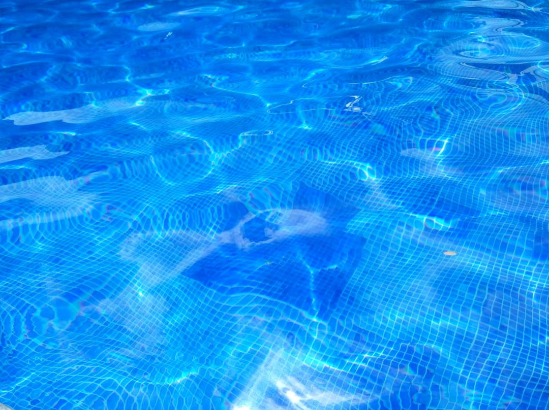 L' Hotel les Aigrettes主图