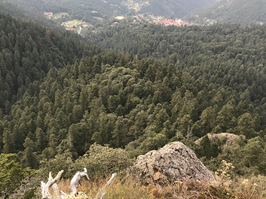 El Chico National Park景点图片