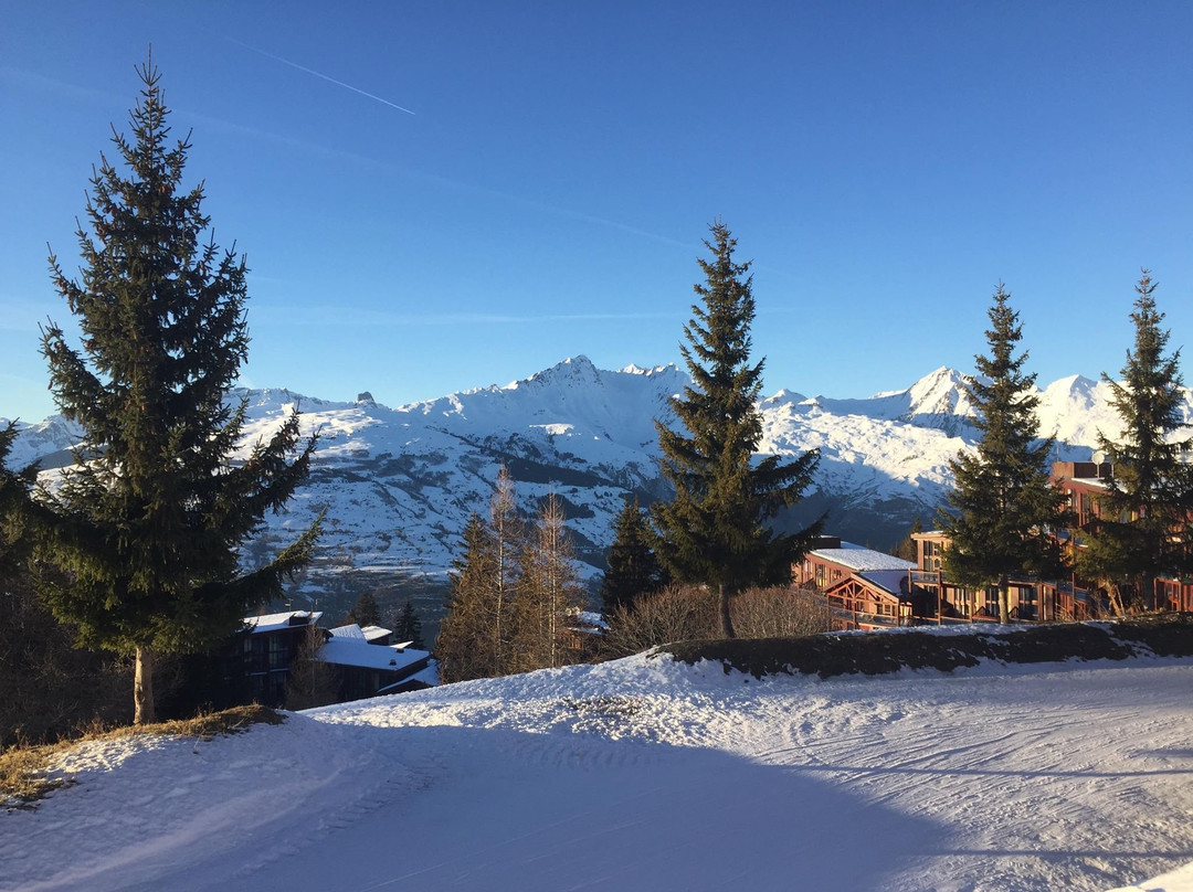 L'Aiguille Grive Chalets Hotel主图