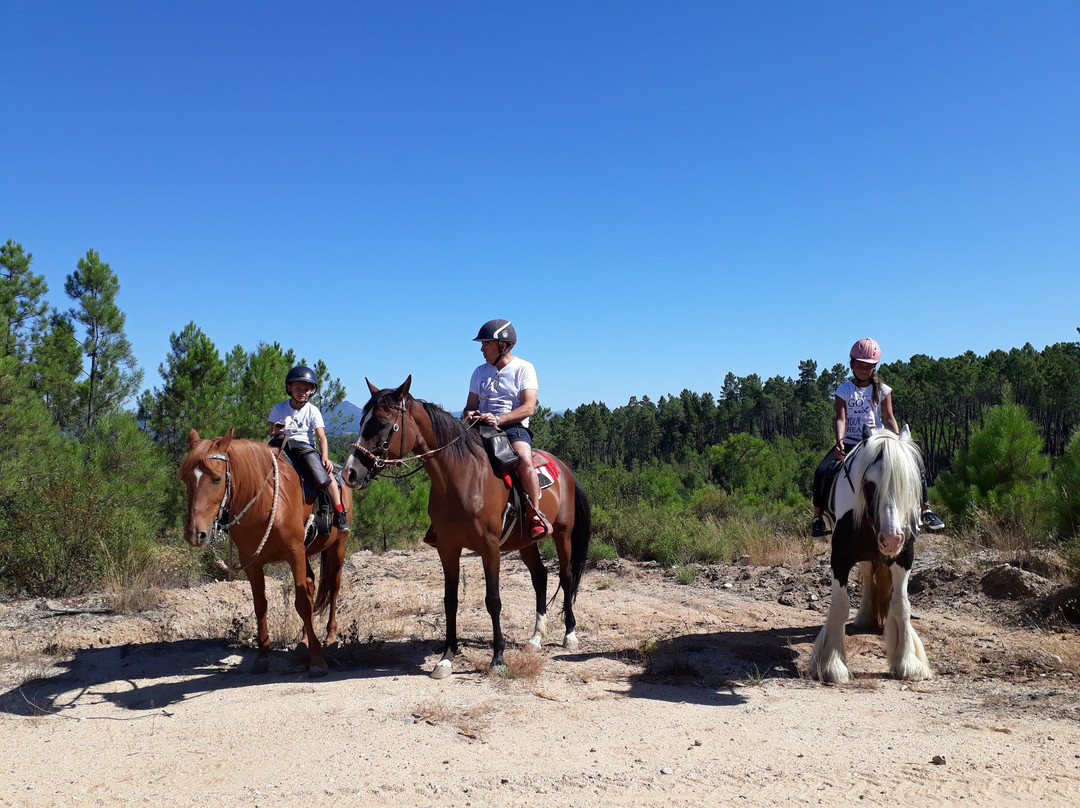 Horseback riding Portugal Adventures-Castelo Branco District必去景点