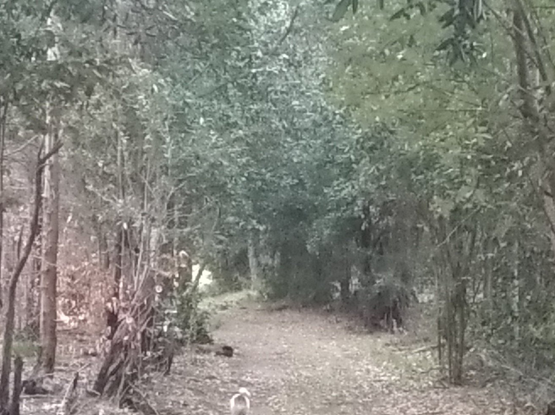 Clearwater Trails-Port Edward必去景点