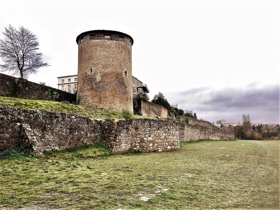 Chateau de Parthenay景点图片