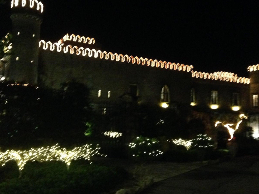 Castello Monaci景点图片