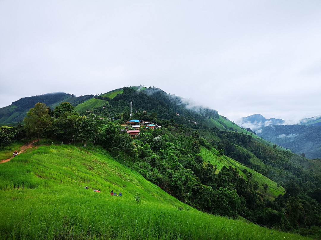 DaiDib DaiDee Permaculture Thailand景点图片