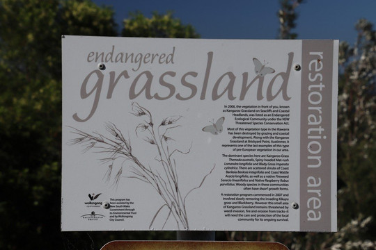 Moronga Park-卧龙岗市必去景点