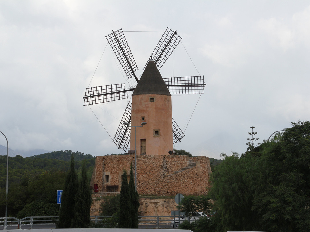 Molino de Santa Ponsa-圣庞沙必去景点