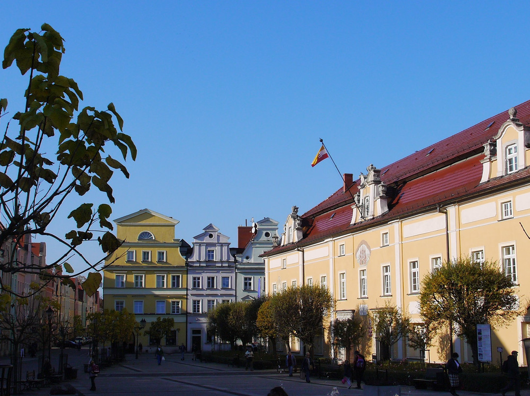 Krasnik Dolny旅游攻略图片