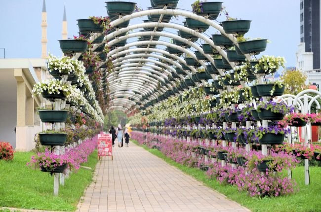 The Flower Park景点图片