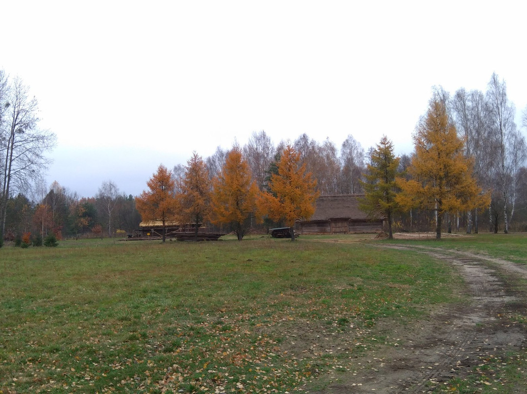 Museum of Podlaskie Region's Folk Culture-Wasilkow必去景点