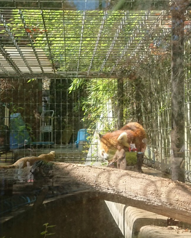 Chiba Zoological Park-千叶市必去景点