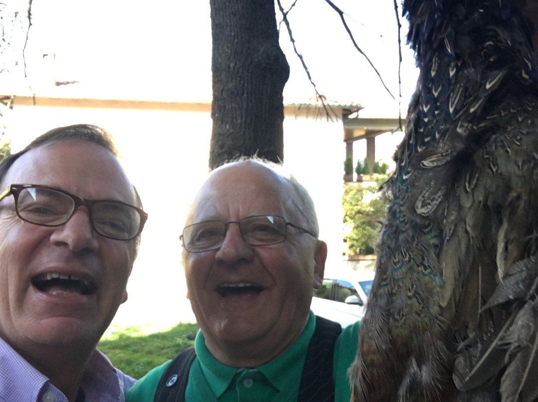 Enoteca Di Ghino-皮恩扎必去景点