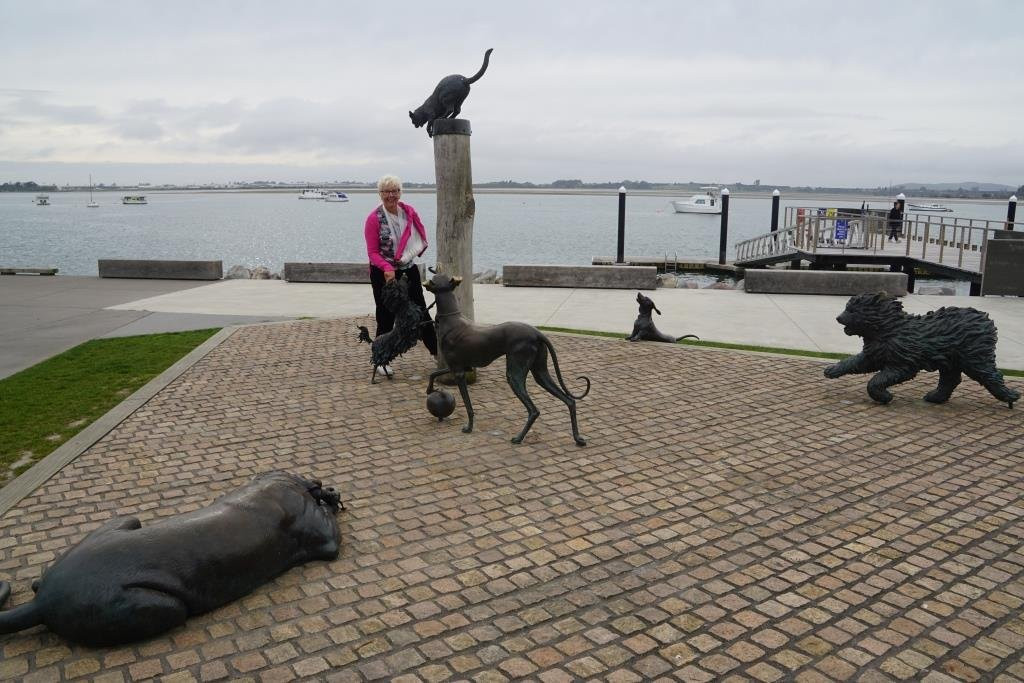 Hairy Maclary & Friends Tauranga Waterfront Sculpture景点图片