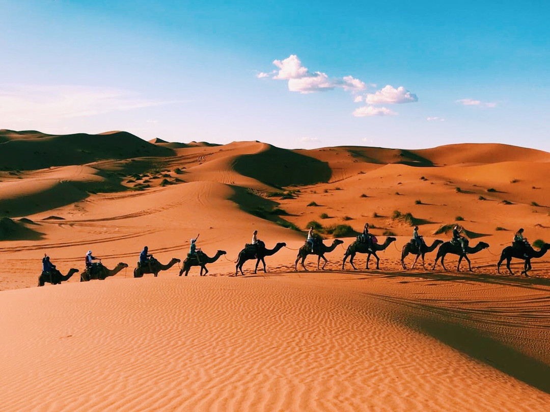 Travel Marrocos-卡萨布兰卡必去景点