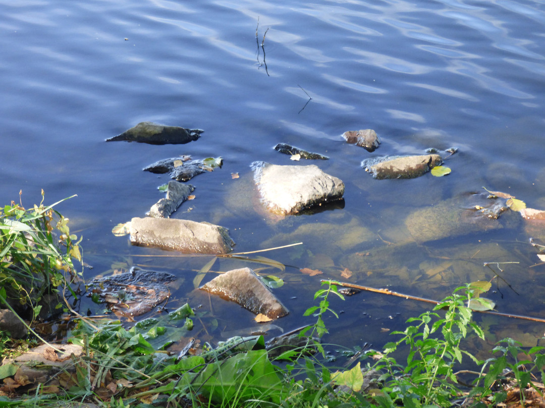 Lac de Creutzwald-Creutzwald必去景点