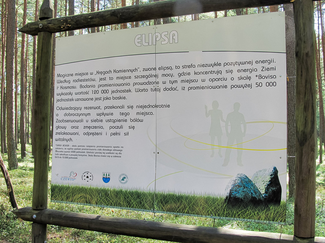 Rezerwat przyrody Kręgi Kamienne景点图片