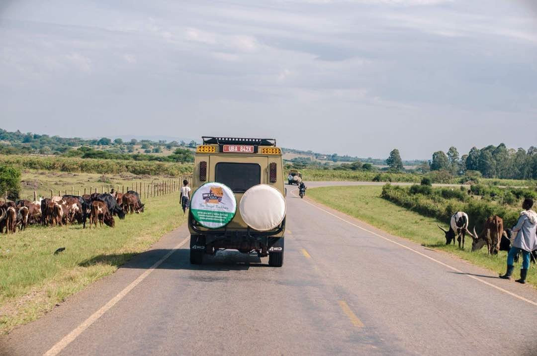 The Great Trekkers Safaris-恩德培必去景点