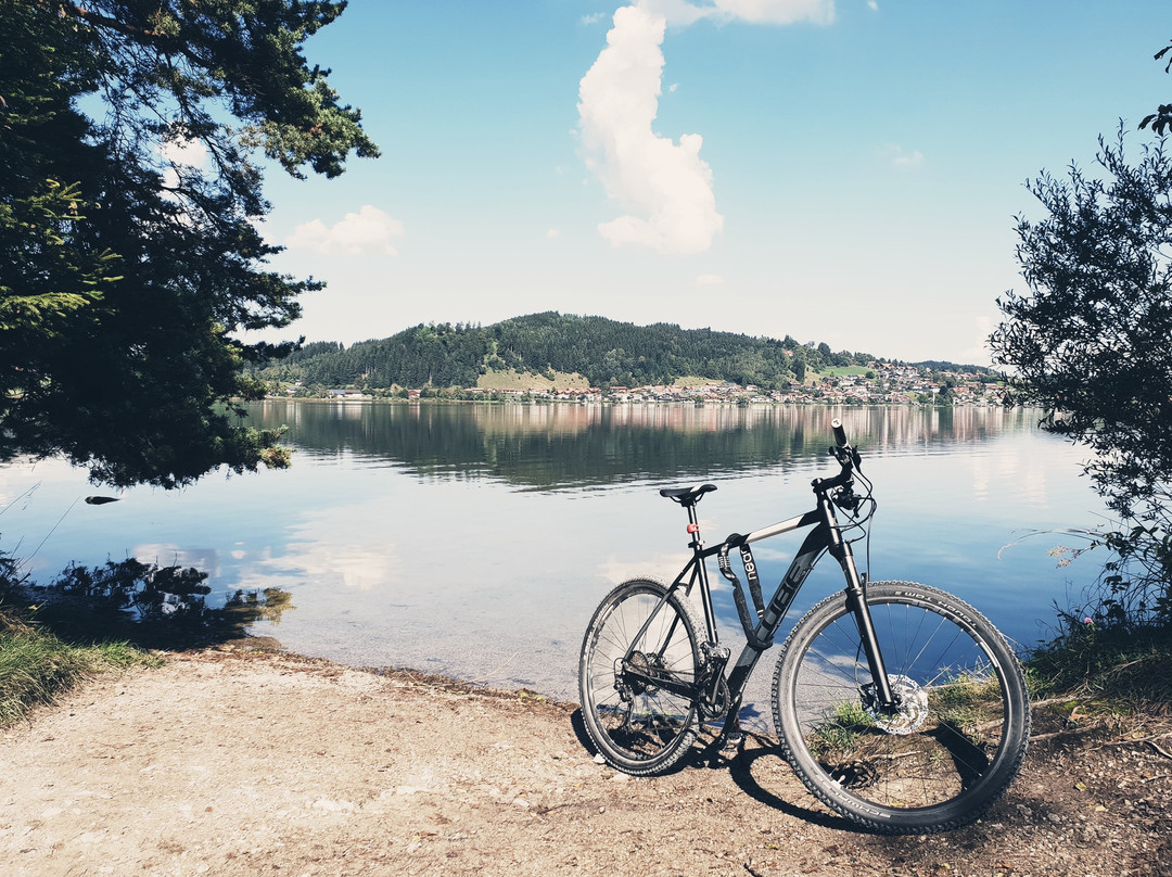 PURE.allgau-菲森必去景点