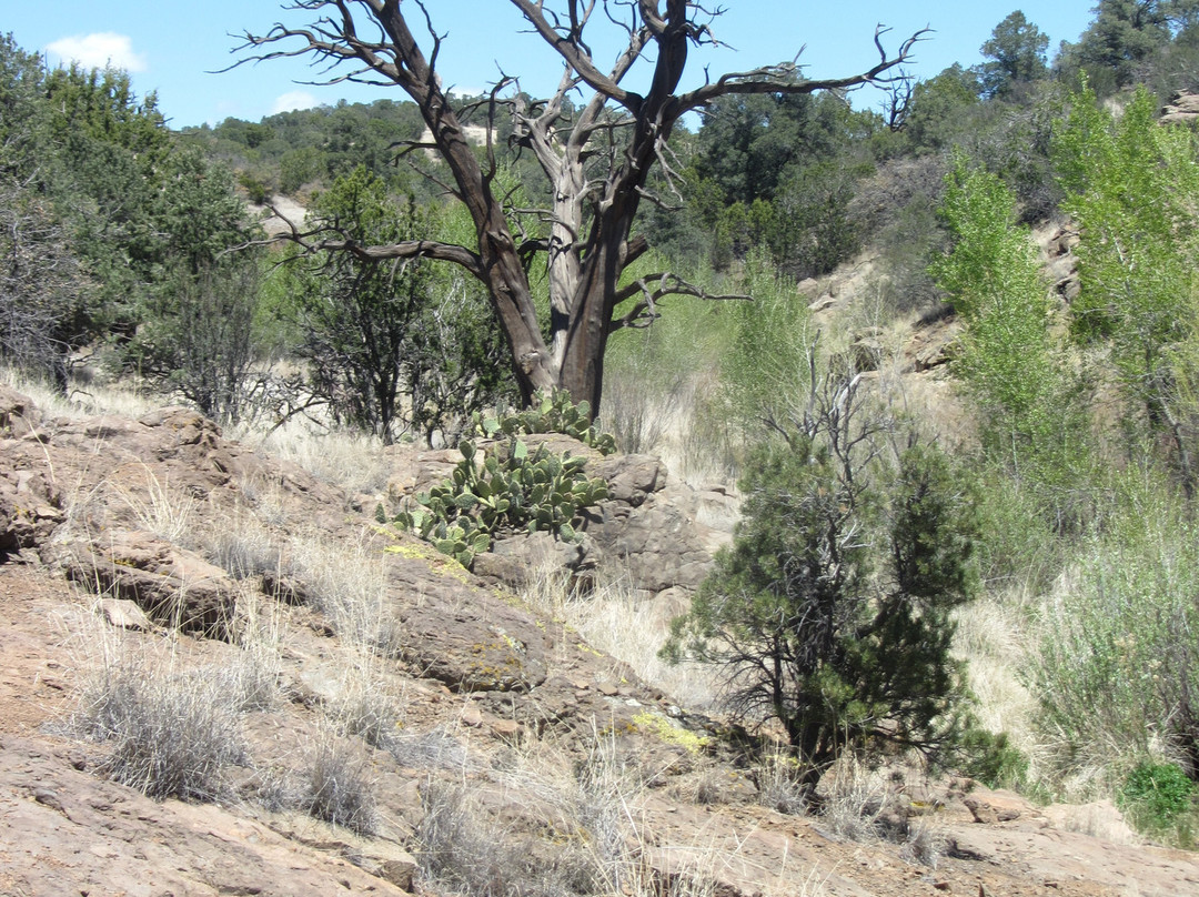 The Dragonfly Trail-Silver City必去景点