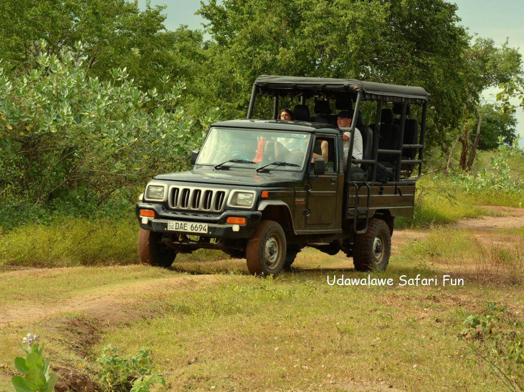 Udawalawe Safari Fun-乌达瓦拉瓦必去景点