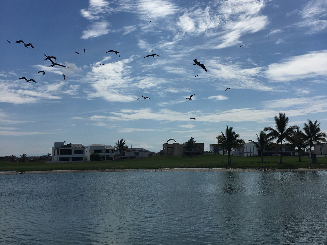 Marina Mazatlan Golf Course-马萨特兰必去景点