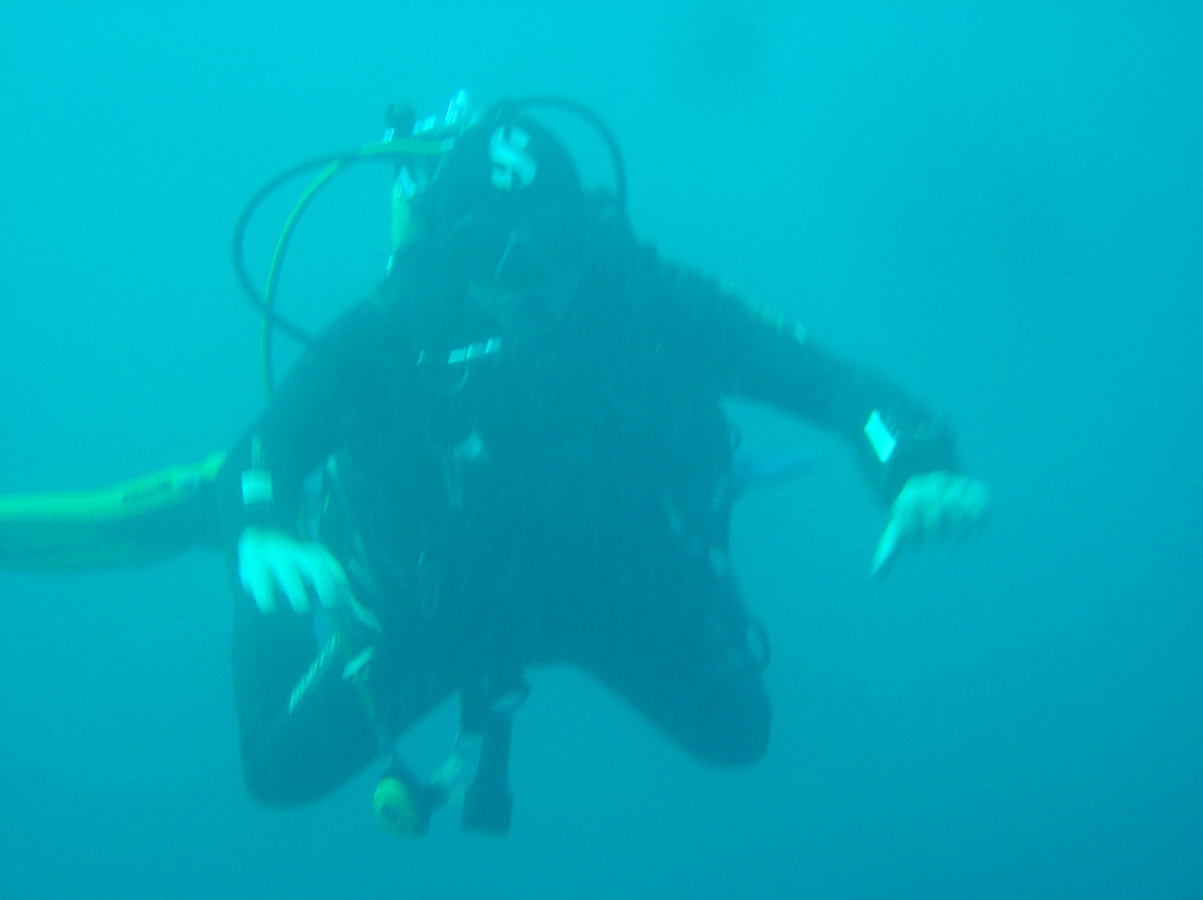 Sasa Sub Diving Center-切萨雷奥港必去景点