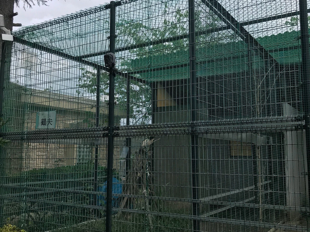 Kamine Park-日立市必去景点