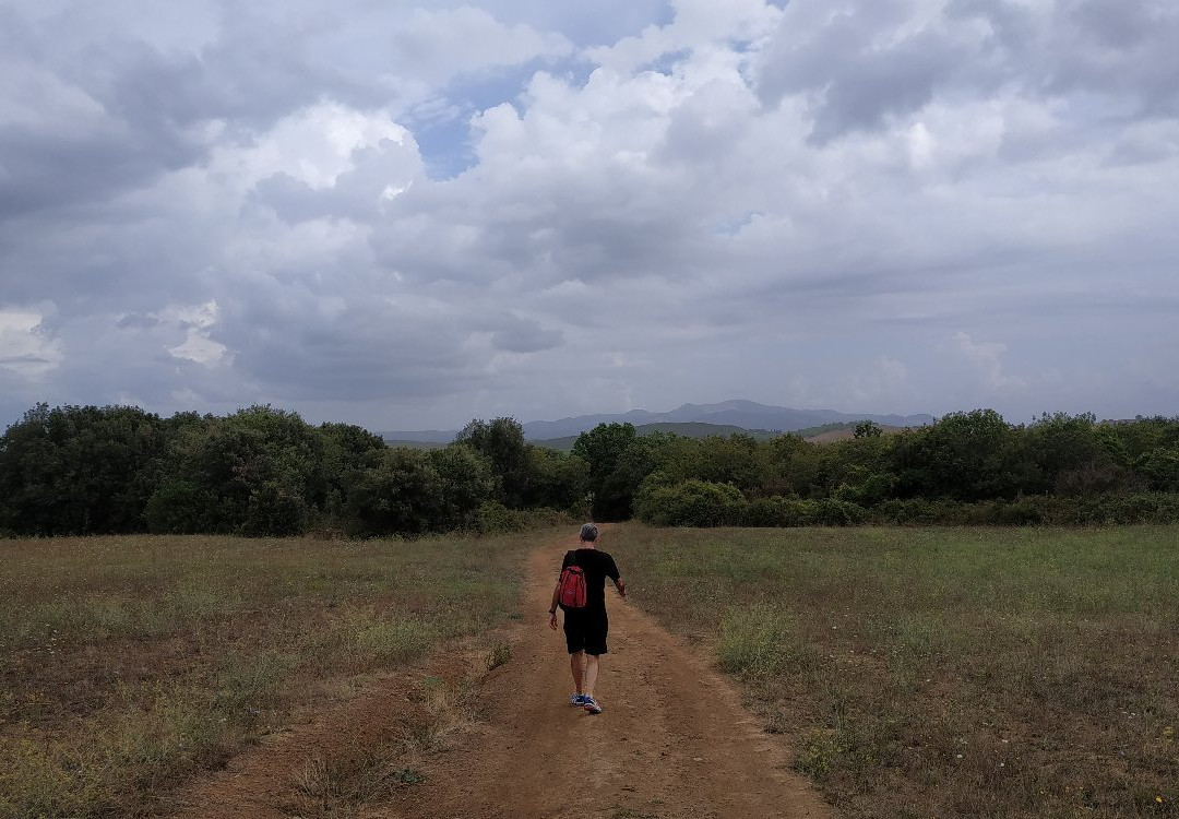 Baratti and Populonia Archeological Park景点图片